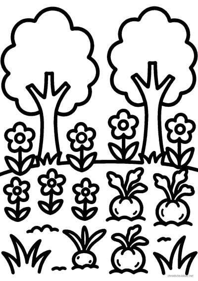 Christliches Ausmalbild: Land mit Gras, Blumen und Obstbäumen – der dritte Schöpfungstag