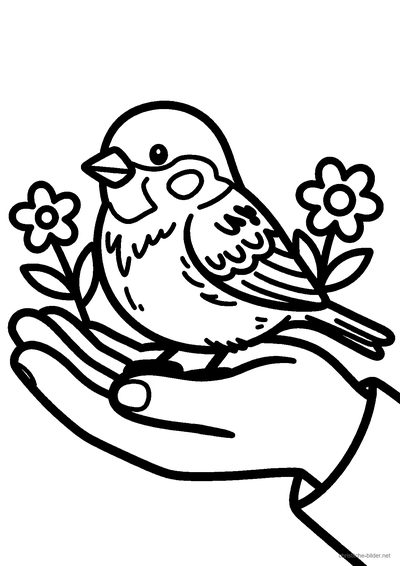 Christliches Ausmalbild: kleiner Spatz sitzt in einer großen offenen Hand