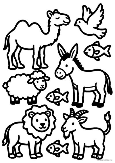 Christliches Ausmalbild: Wimmelbild mit vielen Tieren aus der Bibel wie Kamel, Esel, Schaf, Löwe und Taube