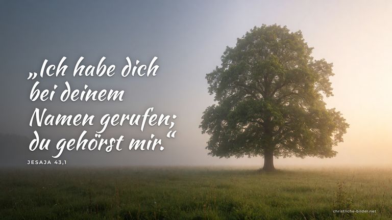 Desktop-Hintergrund mit Bibelvers Jesaja 43,1: „Ich habe dich bei deinem Namen gerufen; du gehörst mir.“ – Einzelner Baum auf einer Wiese im Morgennebel