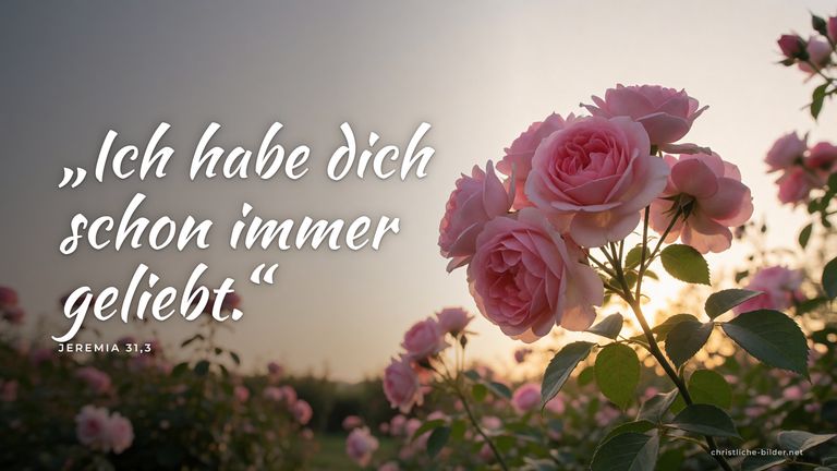 Desktop-Hintergrund mit Bibelvers Jeremia 31,3: „Ich habe dich schon immer geliebt.“ – Rosen im warmen Gegenlicht
