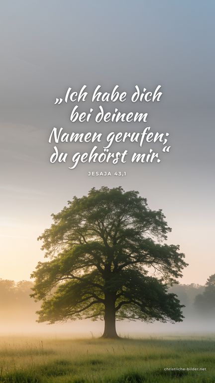 Handy-Hintergrund mit Bibelvers Jesaja 43,1: „Ich habe dich bei deinem Namen gerufen; du gehörst mir.“ – Einzelner Baum auf einer Wiese im Morgennebel