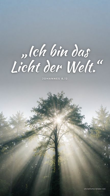 Handy-Hintergrund mit Bibelvers Johannes 8,12: „Ich bin das Licht der Welt.“ – Sonnenstrahlen fallen durch einen nebligen Wald
