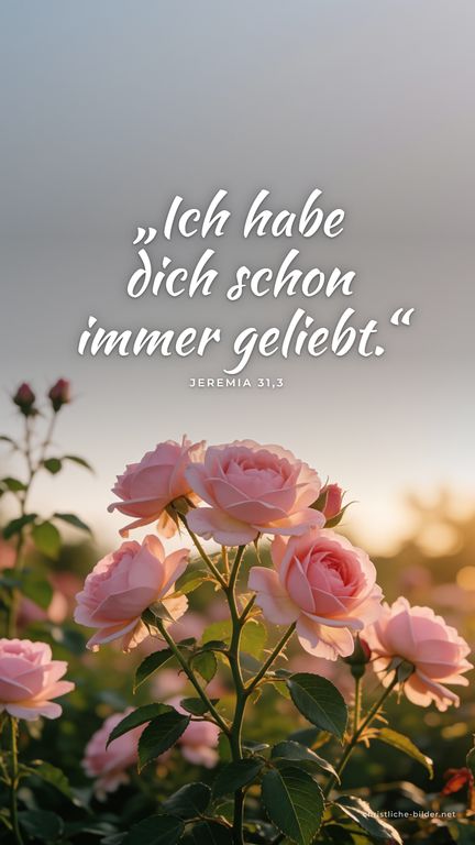 Handy-Hintergrund mit Bibelvers Jeremia 31,3: „Ich habe dich schon immer geliebt.“ – Rosen im warmen Gegenlicht