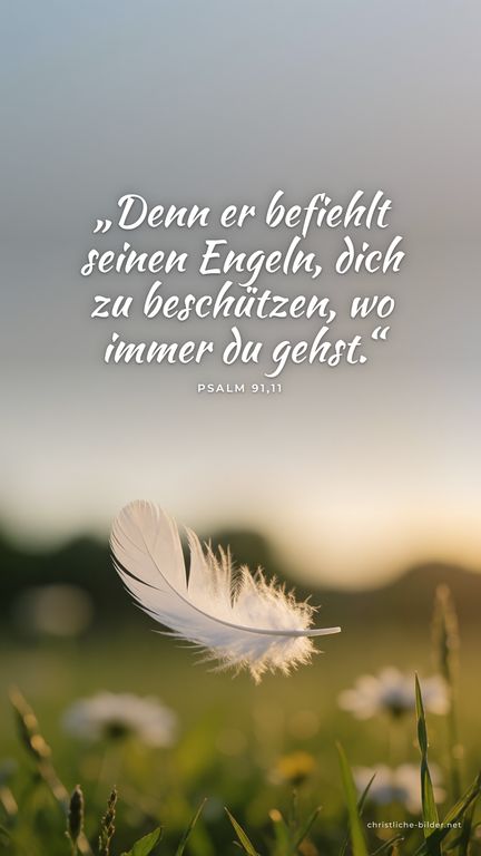 Handy-Hintergrund mit Bibelvers Psalm 91,11: „Denn er befiehlt seinen Engeln, dich zu beschützen, wo immer du gehst.“ – Weiße Feder im Abendlicht