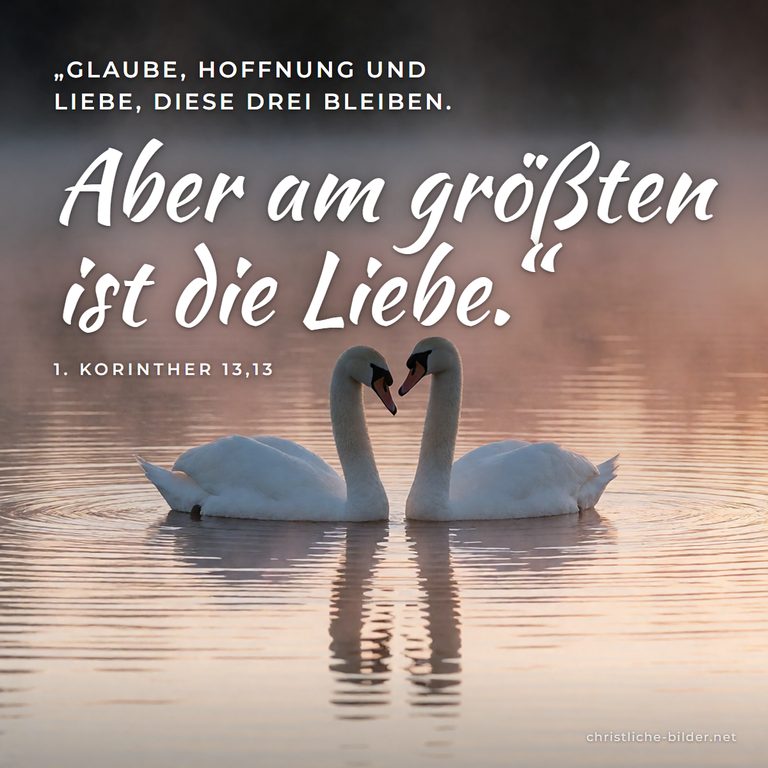 Bibelvers 1. Korinther 13: Am größten ist die Liebe – Zwei Schwäne auf dem See