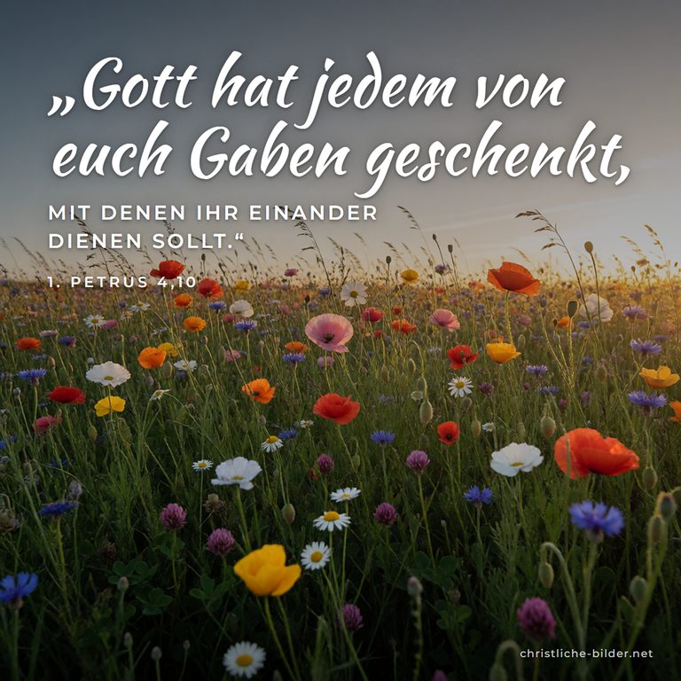 Bibelvers 1. Petrus 4,10: Gott hat jedem von euch Gaben geschenkt – Bunte Blumenwiese im Abendlicht