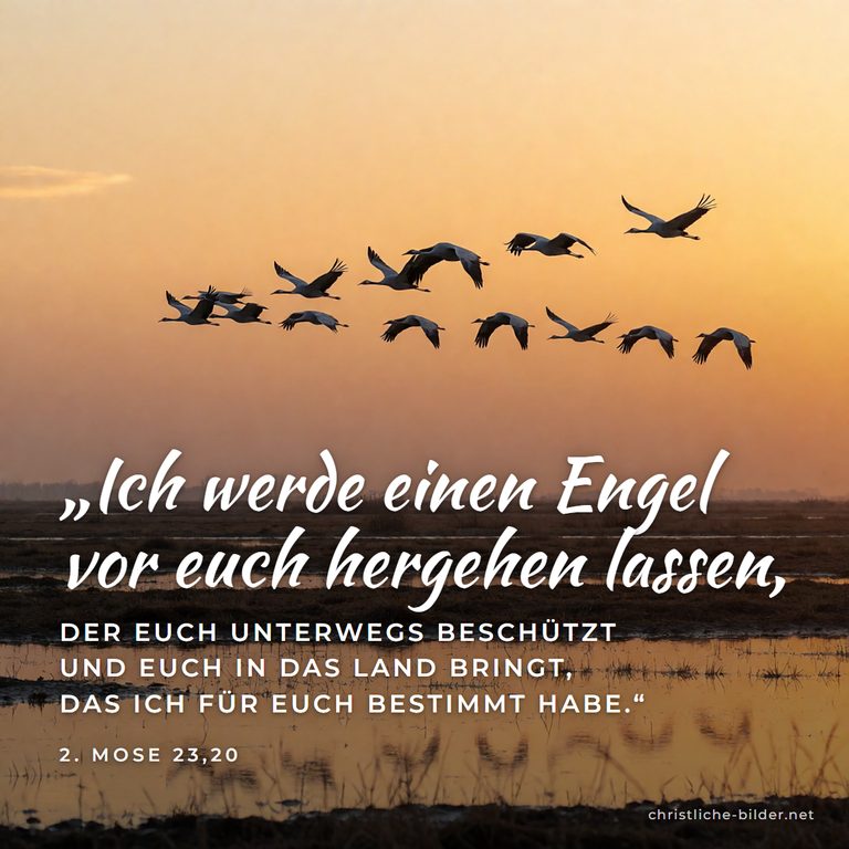 Bibelvers 2. Mose 23,20: Ich werde einen Engel vor euch hergehen lassen – Kraniche ziehen im Abendlicht