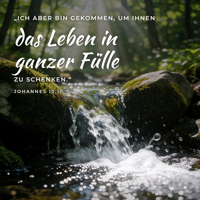Bibelvers Johannes 10,10: Das Leben in ganzer Fülle – Überfließende Quelle im Wald