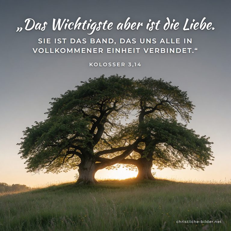 Bibelvers Kolosser 3,14: Das Wichtigste aber ist die Liebe – Zwei Bäume mit verschlungenen Ästen