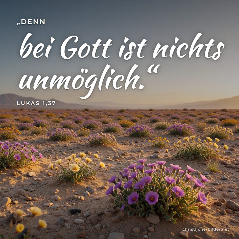 Bibelvers Lukas 1,37: Bei Gott ist nichts unmöglich – Blühende Wüste im Abendlicht