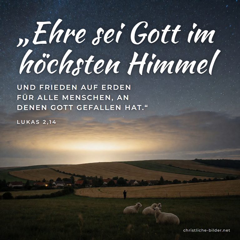 Bibelvers Lukas 2,14: Ehre sei Gott im höchsten Himmel – Hirtenfeld unter leuchtendem Sternenhimmel