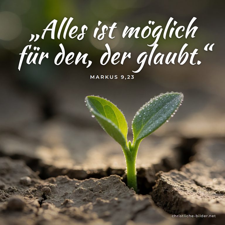 Bibelvers Markus 9,23: Alles ist möglich für den, der glaubt – Keimling in rissiger Erde
