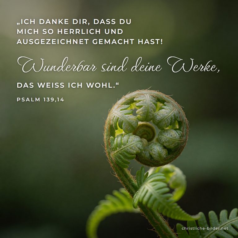 Bibelvers Psalm 139,14: Wunderbar sind deine Werke – Sich entrollender Farn