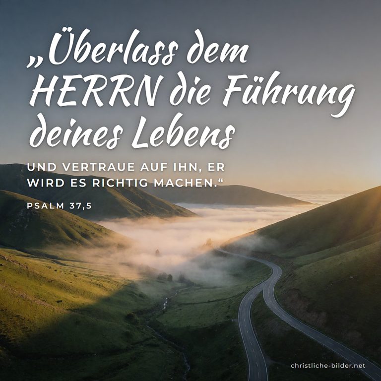 Bibelvers Psalm 37,5: Überlass dem HERRN die Führung deines Lebens – Kurvige Straße durchs Bergtal