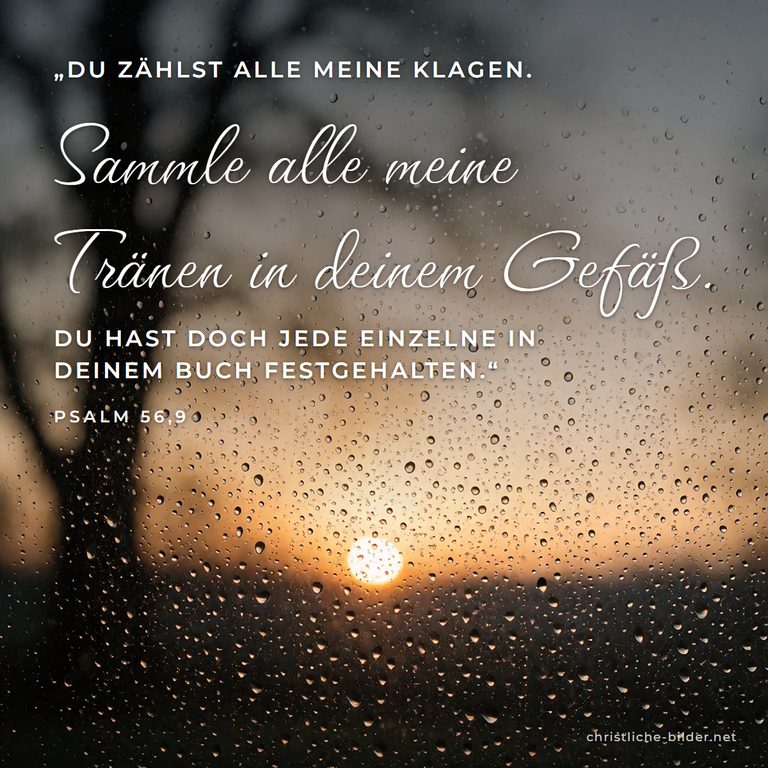 Bibelvers Psalm 56,9: Sammle alle meine Tränen in deinem Gefäß – Regentropfen am Fenster im Morgenlicht