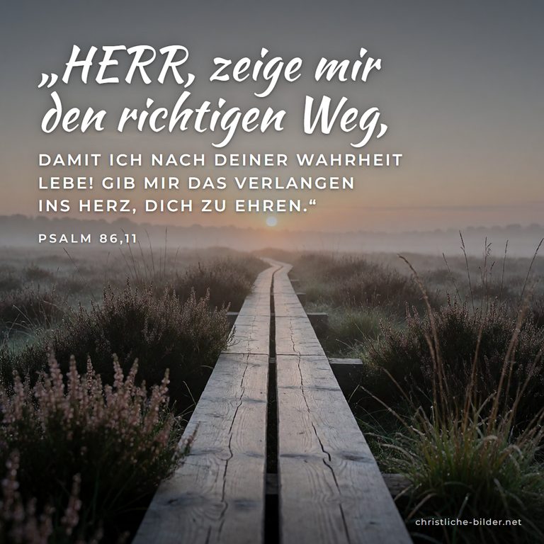Bibelvers Psalm 86,11: HERR, zeige mir den richtigen Weg – Bohlenweg durchs Moor bei Sonnenaufgang