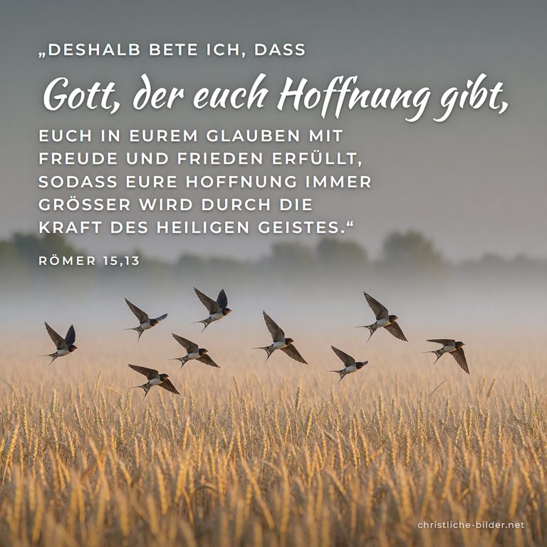 Bibelvers Römer 15,13: Gott, der Hoffnung gibt, erfülle euch mit Freude und Frieden – Schwalben über dem Weizenfeld