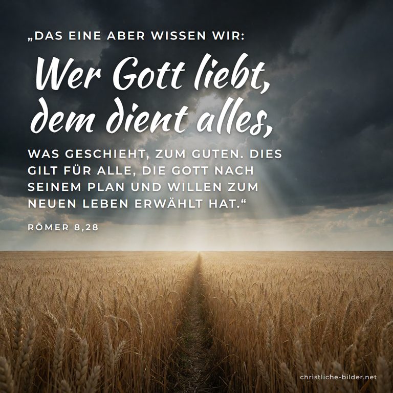 Bibelvers Römer 8,28: Wer Gott liebt, dem dient alles – Sonnenstrahlen nach dem Gewitter