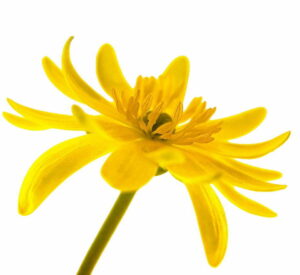 Christliche Bilder